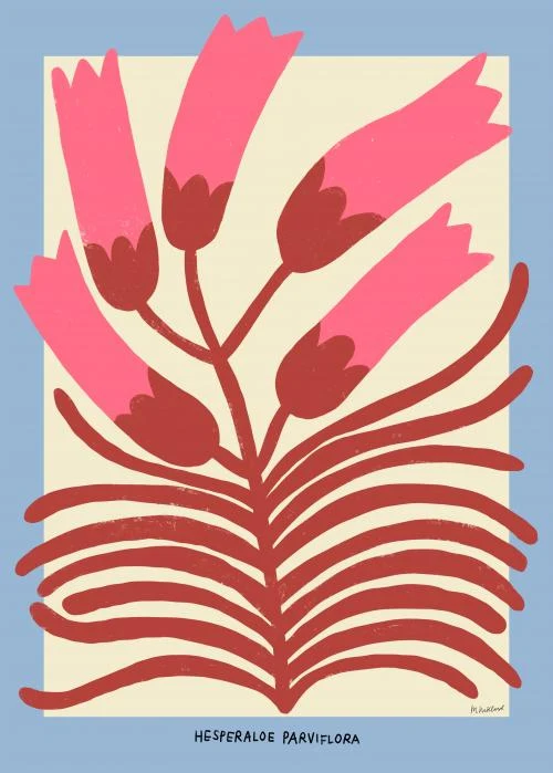 'Hesperaloe Parviflora' Art Print