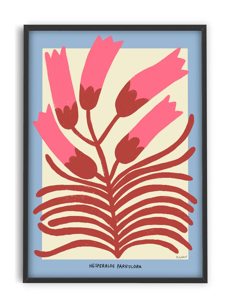 'Hesperaloe Parviflora' Art Print - Image 2