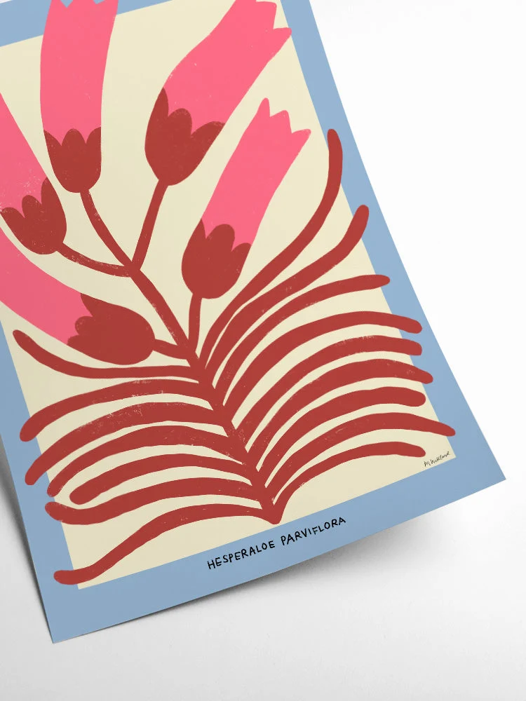 'Hesperaloe Parviflora' Art Print - Image 3