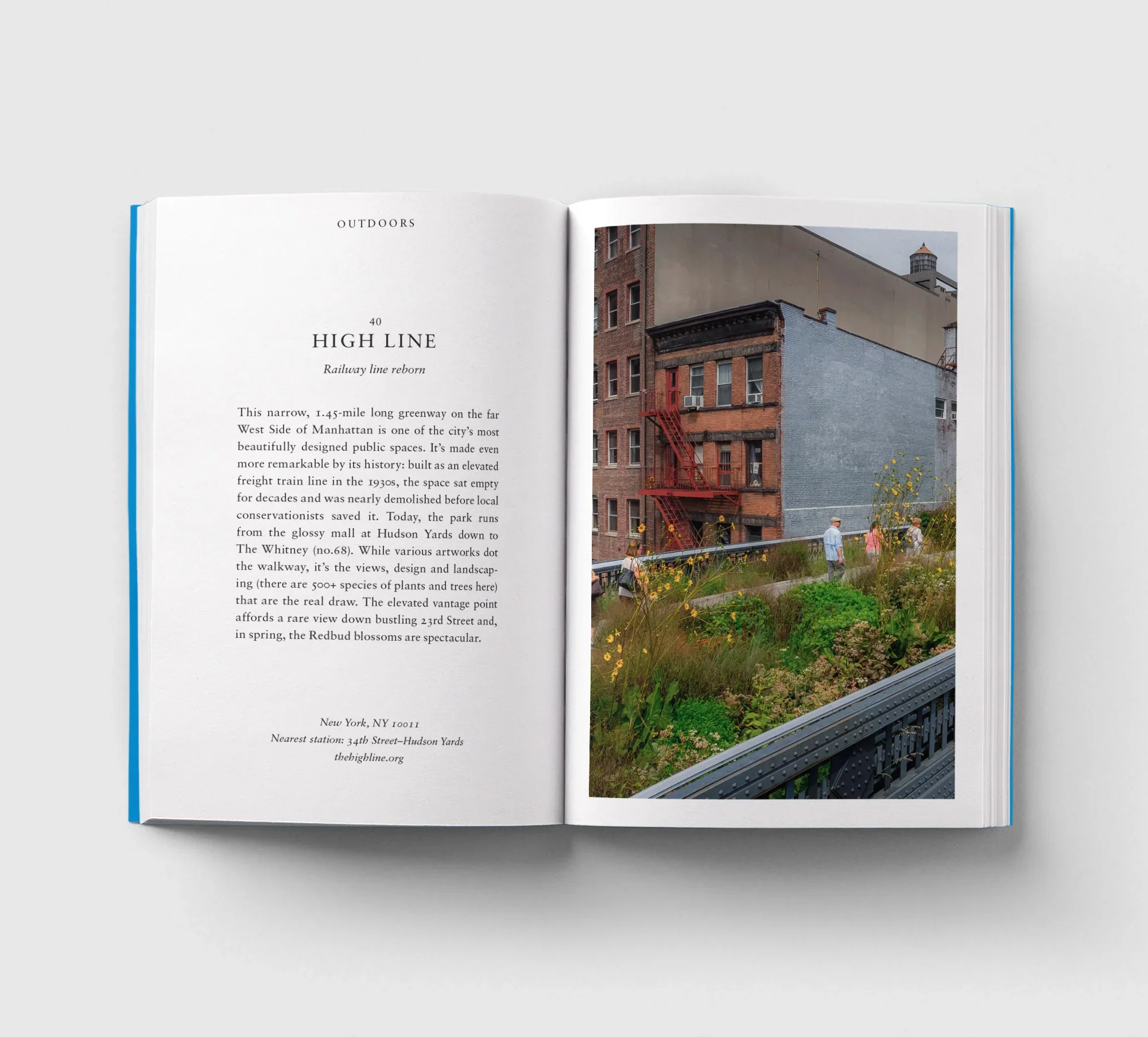 An Opinionated Guide to New York - Image 5