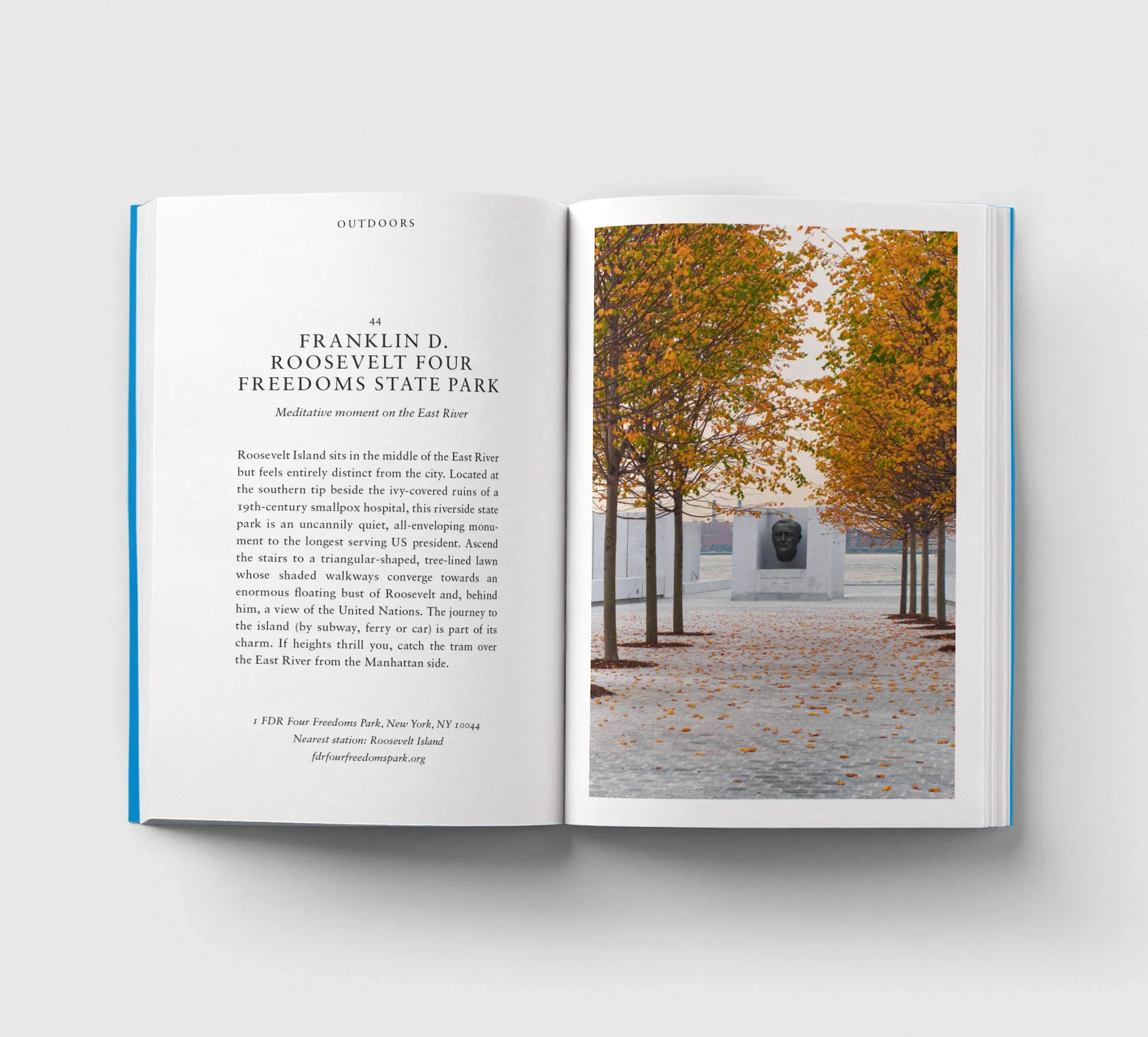 An Opinionated Guide to New York - Image 6