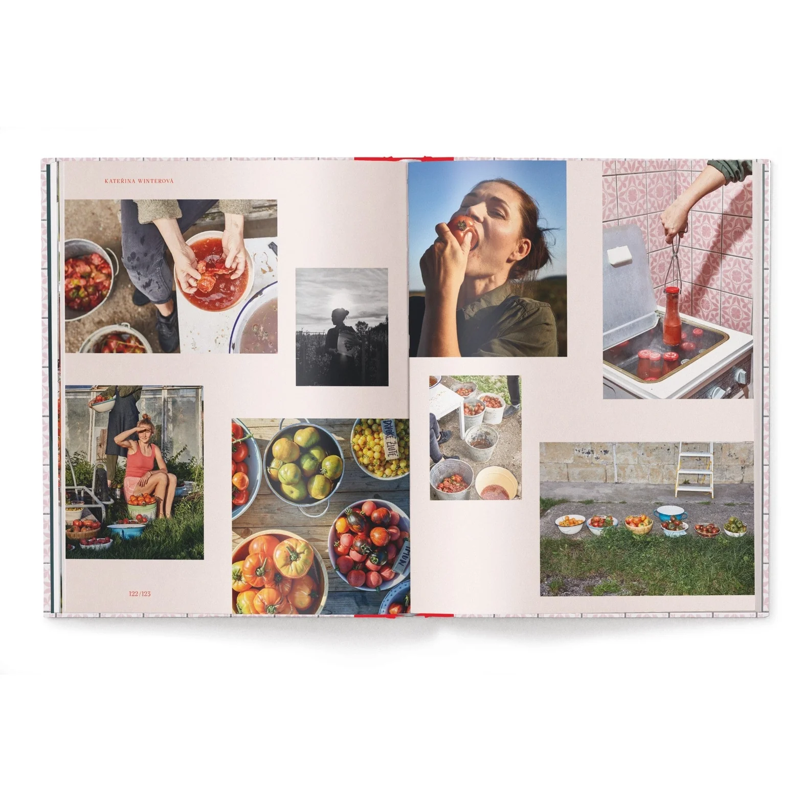 God is a Pickle Recipe Book - Image 13