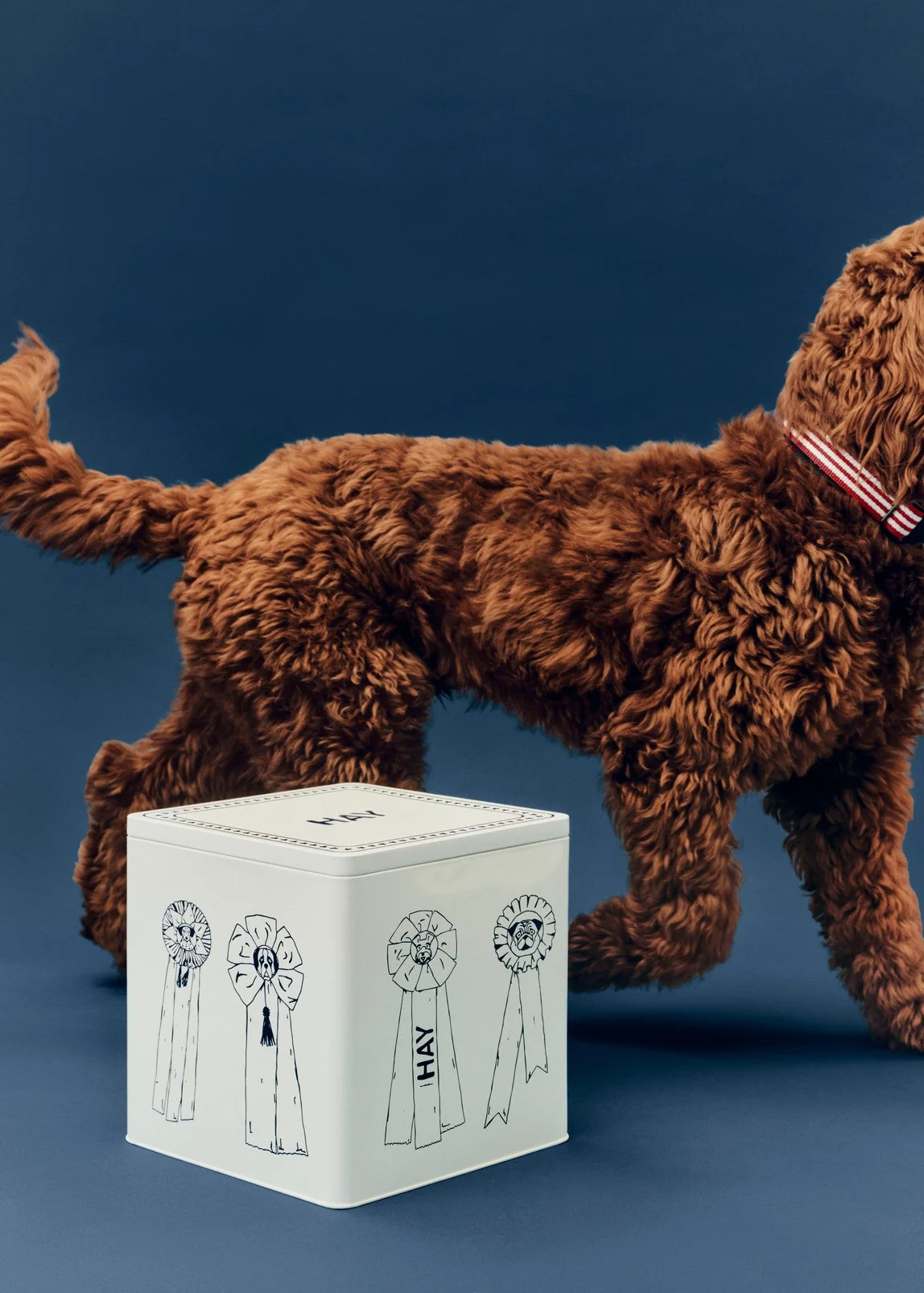 HAY Dogs Food Storage Tin - Image 3
