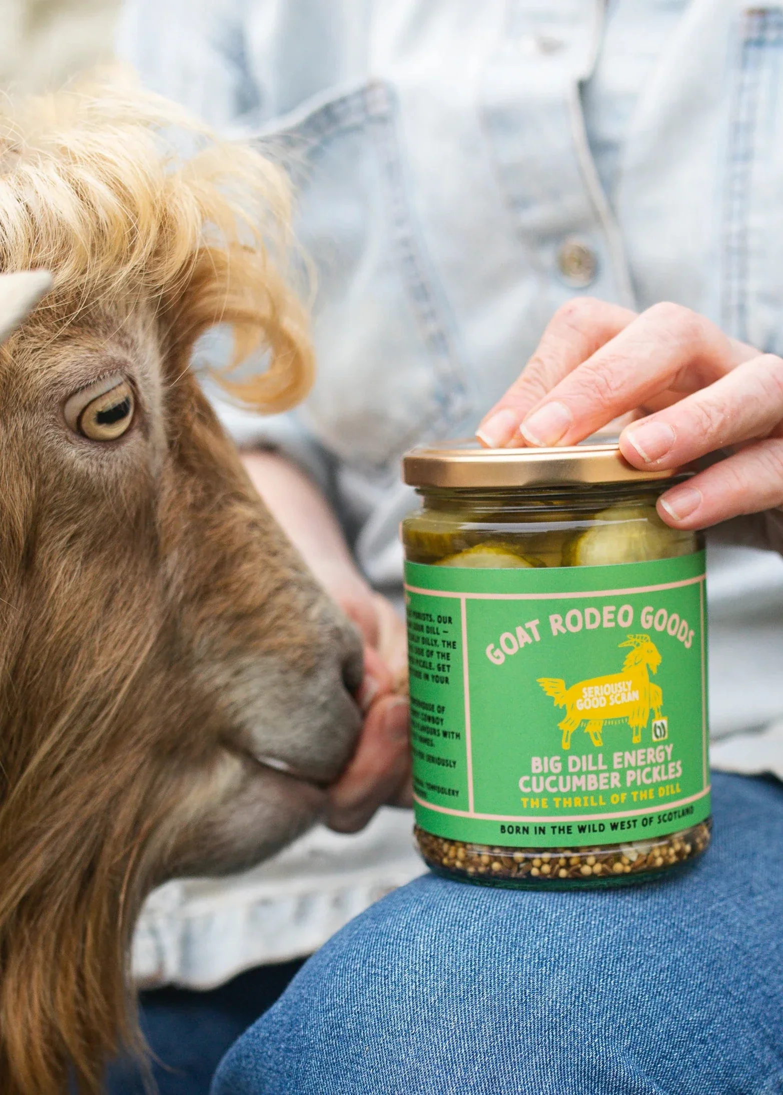 Goat Rodeo Pickles - various flavours - Image 7