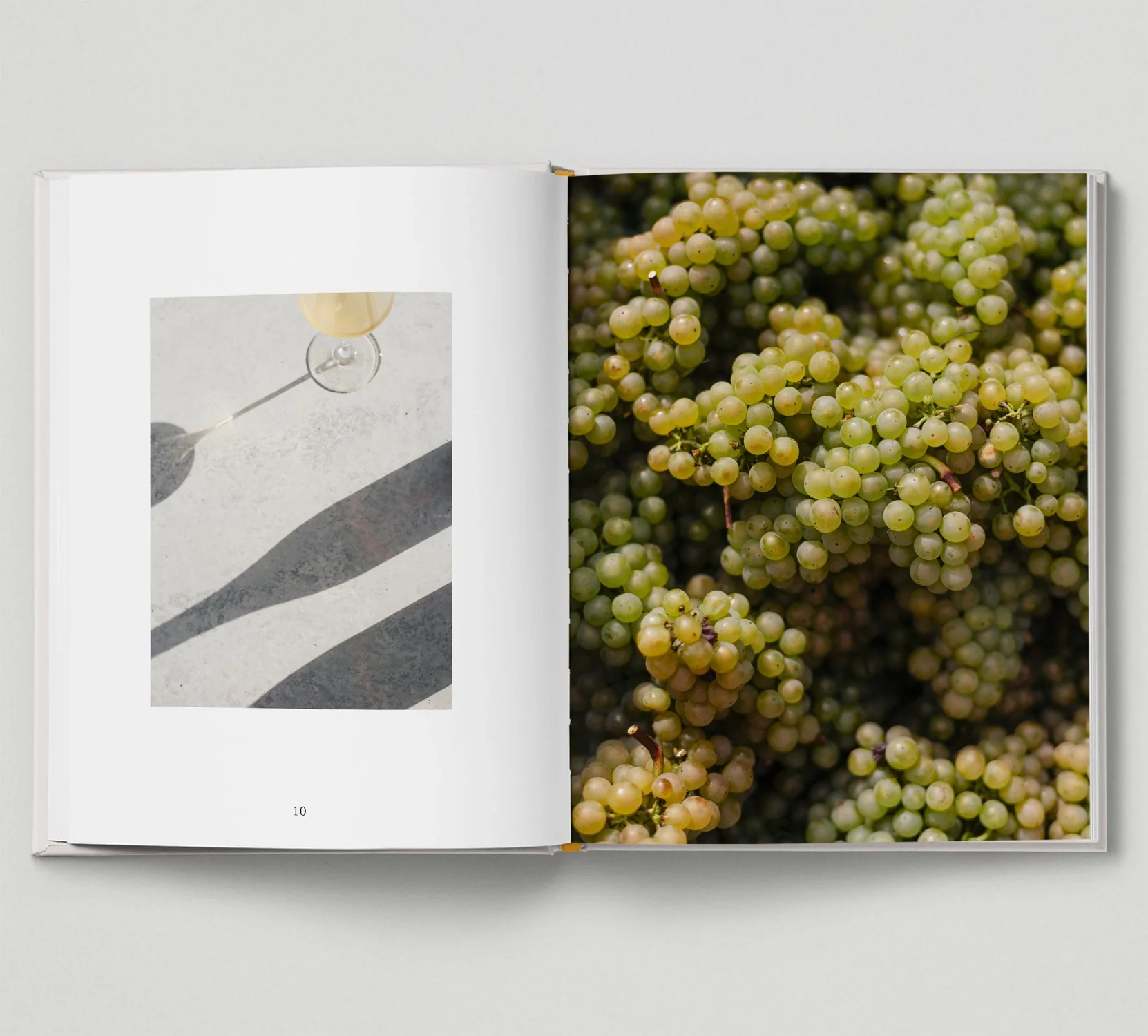 New British Wine - Image 4