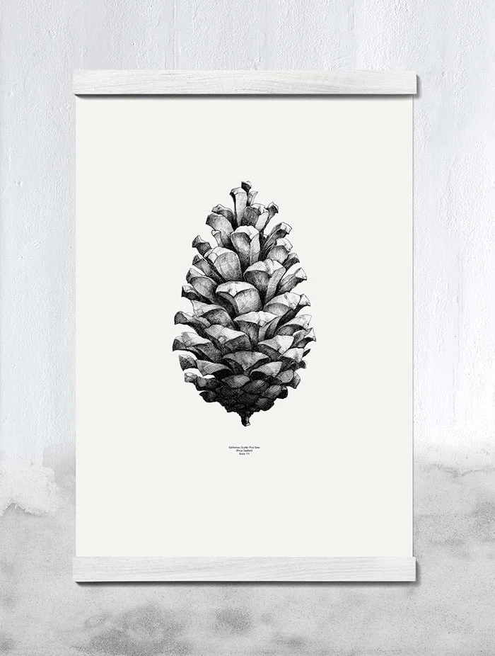 Pine cone print - Image 3