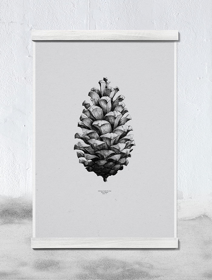 Pine cone print - Image 4