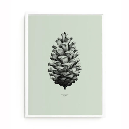 Pine cone print - Image 6