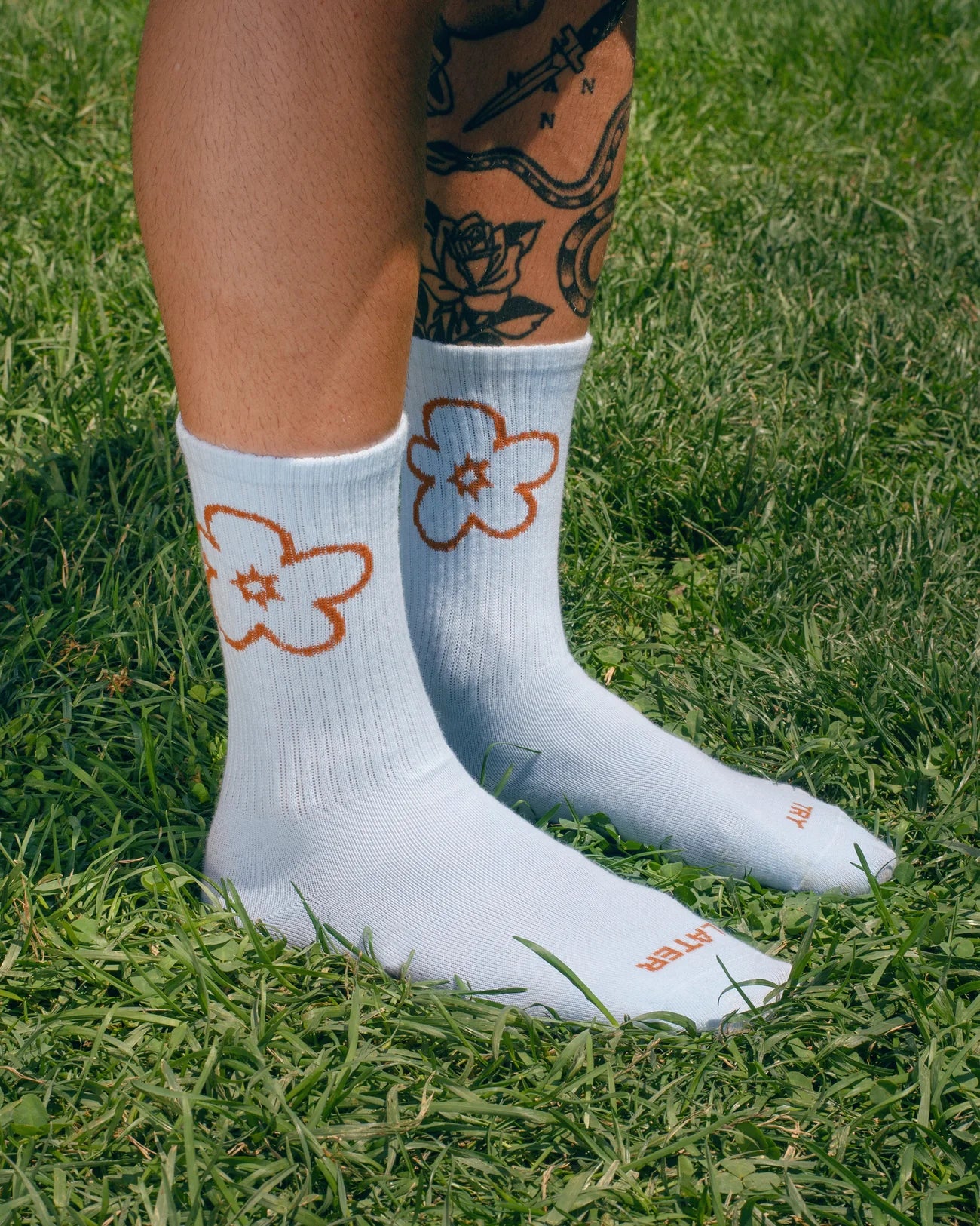 Tarta Gelatina socks - various colours - Image 10