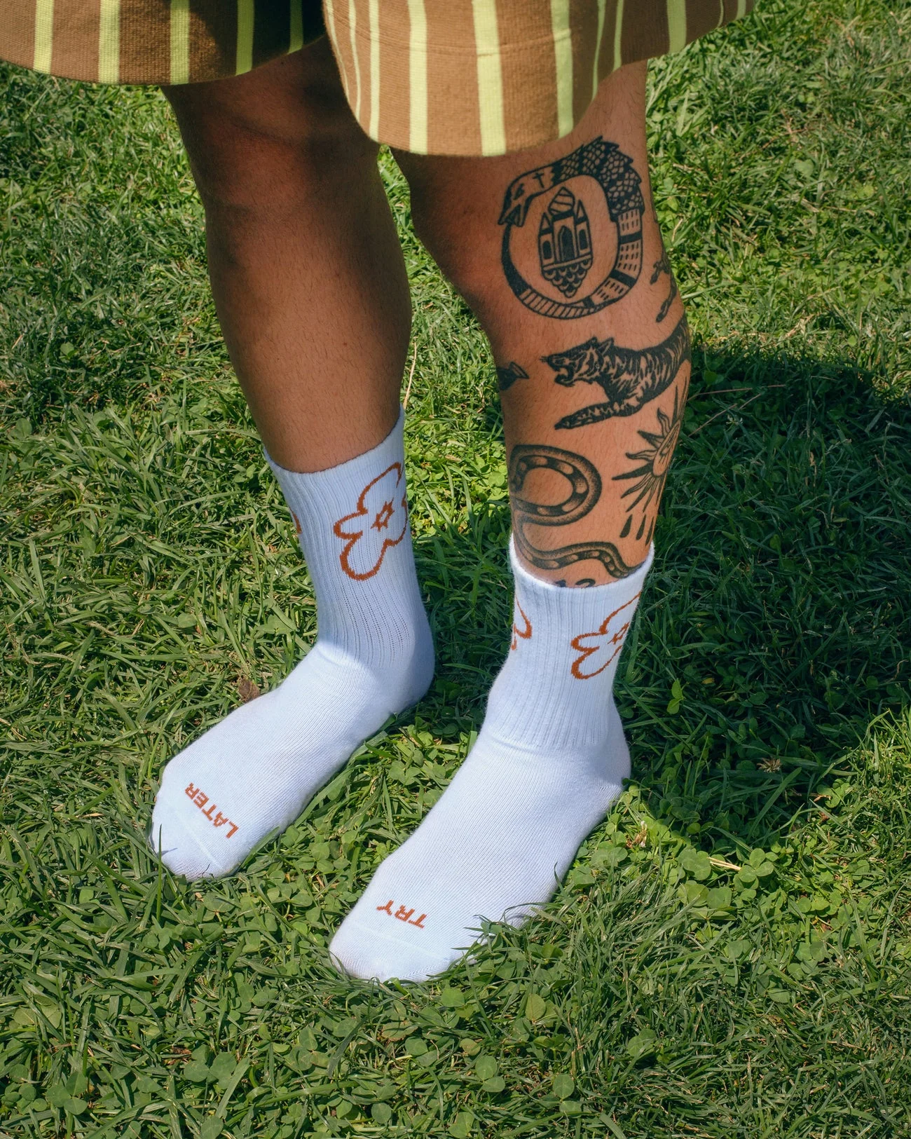 Tarta Gelatina socks - various colours - Image 7